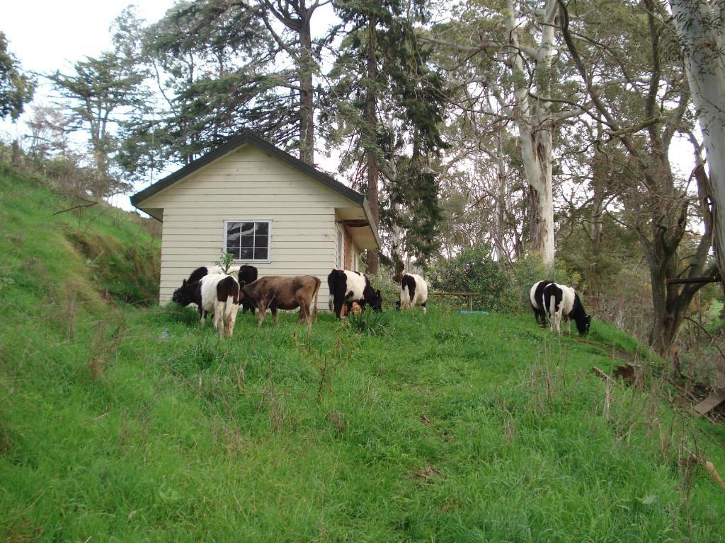 Bed and Breakfast Havelock House Havelock North Exterior foto